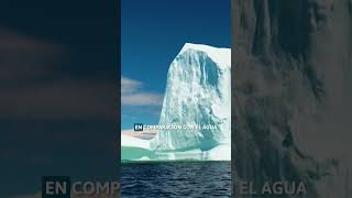 Los ICEBERGS en 1 MINUTO 🧊 SHORTS [upl. by Matteo]