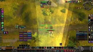 WOW SOD resto PVP Based cap [upl. by Aynnek]