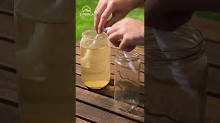 Survival Hack DIY Water Filter 💧 [upl. by Liana252]