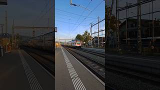 Switzerland Train In Action At Sempach Station publictransport trainspotting switzerland [upl. by Bennet452]