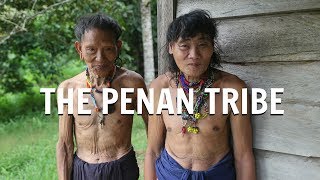 The Penan Tribe [upl. by Aramas]