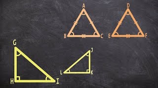 How congruent triangles compare to similar triangles [upl. by Ahsieat9]