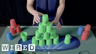 This is FAST Cup Stacking  WIRED [upl. by Harli]