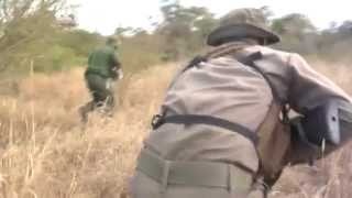 Curbing Poaching AntiPoaching Efforts Gain Momentum In SAfrica [upl. by Okiam]