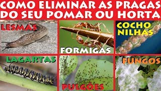 Como Eliminar Lagartas Lesmas Formigas Fungos e Pulgões facilmente do Seu Pomar ou Horta [upl. by Anwahsar489]