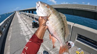 KEEPER MUTTONFlorida keys Bridge fishingmulti species day [upl. by Ytsirt]