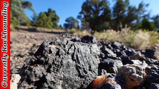 Lodestone Hunting in Utah [upl. by Whiney]