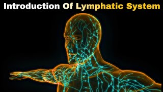 Introduction of lymphatic system in hindi [upl. by Kusin]