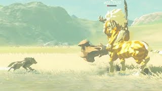 Breath of the Wild Gold Lynel vs Wolf [upl. by Thirzi306]