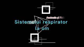 Sistemul respirator la om [upl. by Egiaf433]