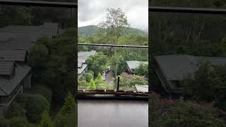 Thekkady  The Mountain Courtyard Resort  Trip travel youtube trending [upl. by Hailat]