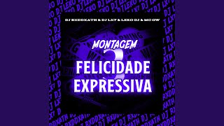 MONTAGEM FELICIDADE EXPRESSIVA 30 feat DJ LX7 amp Lekodj [upl. by Dominy]