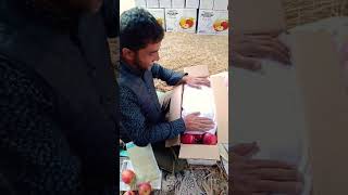 Apple Packing In Kashmir 4 Layer Box apple packer  khazir mohd reels shorts [upl. by Hallimaj]