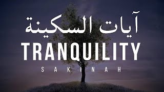 AYAT SAKINAH  AYAT OF TRANQUILITY  Omar Hisham Al Arabi [upl. by Oecile]