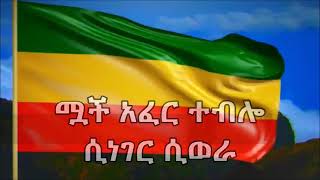 እንደዉ ዘራፌዋ  Teshome Asegid [upl. by Hahcim]