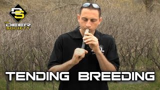 Breeding amp Tending Grunts  Advanced Calling Techniques [upl. by Keelia]