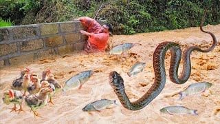 Overview of dam construction to withstand storms and floods that destroy farms facing danger [upl. by Tennes]