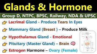 Glands amp Hormone  Endocrine amp Exocrine Glands  ग्रंथियां  Glands amp Hormone Biology Gk [upl. by Anegroeg]