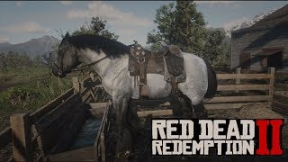 RED DEAD REDEMPTION II  COMO CONSEGUIR EL CABALLO DE GUERRA [upl. by Licht321]