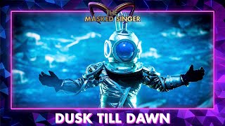 Duiker  Dusk Till Dawn  The Masked Singer  VTM [upl. by Sheffield]