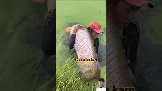 fishing fisherman fish fishermanlife carpfishing fishermanslife fishingtips fishermans [upl. by Dreeda]