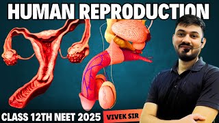 Human Reproduction class 12  NCERT Line by Line  Part1  byVivek Sir [upl. by Ileray]