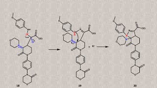 Apixaban anticoagulante mecanismos de formación del heterobiciclo de pirazolovalerolactama [upl. by Nellad628]