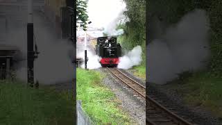 Owain Glyndŵr steams out of Aberystwyth  Vale of Rheidol Festival of Steam 2024 railway train [upl. by Nnylyam]