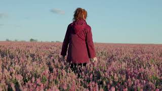 Field Of Sainfoin [upl. by Eleahcim]