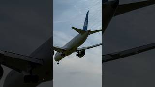 Air Europa Lineas Aereas Spain Landing at Amsterdam Schiphol Airport Plane Spotting [upl. by Kaenel]