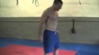 BJJ Workouts Animal Exercises for BJJ The Backwards Dolphin [upl. by Nnagem789]