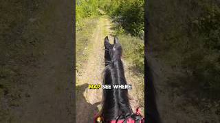 Things ENDURANCE RIDERS Say ✨🎬5✨ horse endurance horsevideo riding equestrian [upl. by Leonardo]