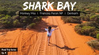 SHARK BAY  We Saw Wild Dolphins amp Dugongs  Mini Road Trip Series Episode 4 [upl. by Yulma]