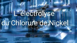 Électrolyse dune solution de Chlorure de Nickel [upl. by Drolet891]