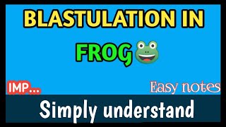 Blastulation in frog  frog blastulation  blastulation in frog in hindienglish [upl. by Cj]