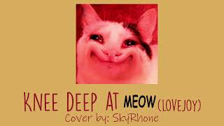 Knee Deep at MEOW lovejoy meme cover by SkyRhone [upl. by Fotzsyzrk]