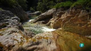 El paraíso de las nutrias Documental [upl. by Ochs]