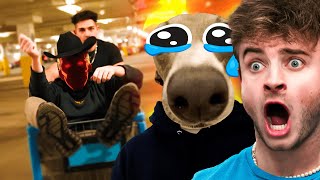 Reacting To PACKGODS DISS TRACK With VESHREMY [upl. by Rowley]