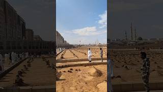 Jannatul baki kabristan kabar😭 Ka jiyarat aye Akash madine🤲 mein maut Yun aaye madina shorts [upl. by Ginnie]