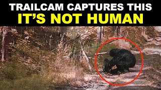 A Camera Installed In A Forest In The USA Recorded Something Terrifying [upl. by Rustie907]