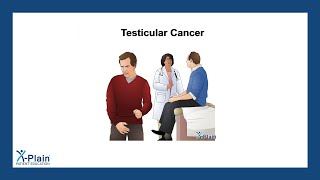 Testicular Cancer [upl. by Betti947]