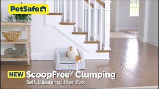 Say Goodbye to Scooping with the ScoopFree® Clumping Litter Box [upl. by Eiwoh]