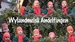 Wylandmeisli Andelfingen quotMängmal da wett i es Schneeflöckli siiquot  Singing Christmas Tree Zürich [upl. by Janek]