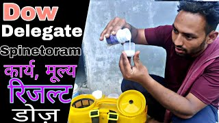 Dow Delegate  best insecticide  Spinetoram 117 sc  Praveen Thakur [upl. by Annohsat396]