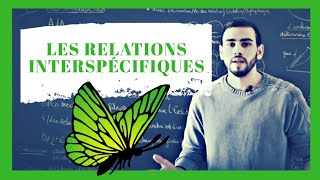 BCPST 🦋  Colle de biologie Les relations interspécifiques  Colle de biologie [upl. by Trudi]