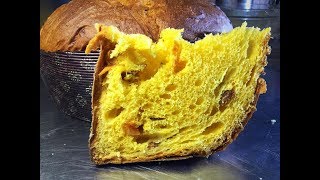 Panettone agrumi ricetta Maestro Alfonso Pepe  Primo impasto lievito madre [upl. by Shannah]