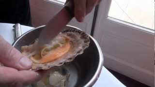 Technique de cuisine  ouvrir une coquille Saint Jacques [upl. by Hsital]