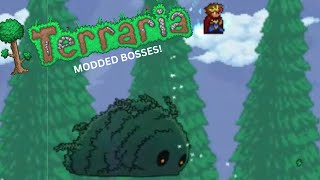 TERRARIA MODDED BOSSES MASSIVE MOSS CHARGER AND VENGEFLY KING [upl. by Gianina]