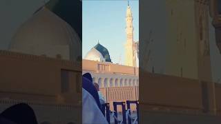 Wo shehar e Mohabbat vlogspoint love naat new madinavlog 2024 [upl. by Tobye]