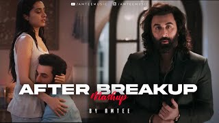 After Breakup Mashup  Amtee  Sari Duniya Jala Denge  Main Royaan  Bollywood Lofi [upl. by Abdul]